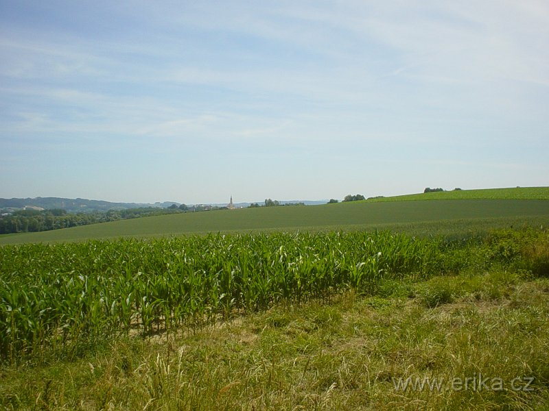 DSC01848.JPG