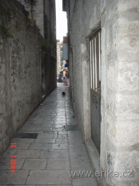 DSC02967.JPG