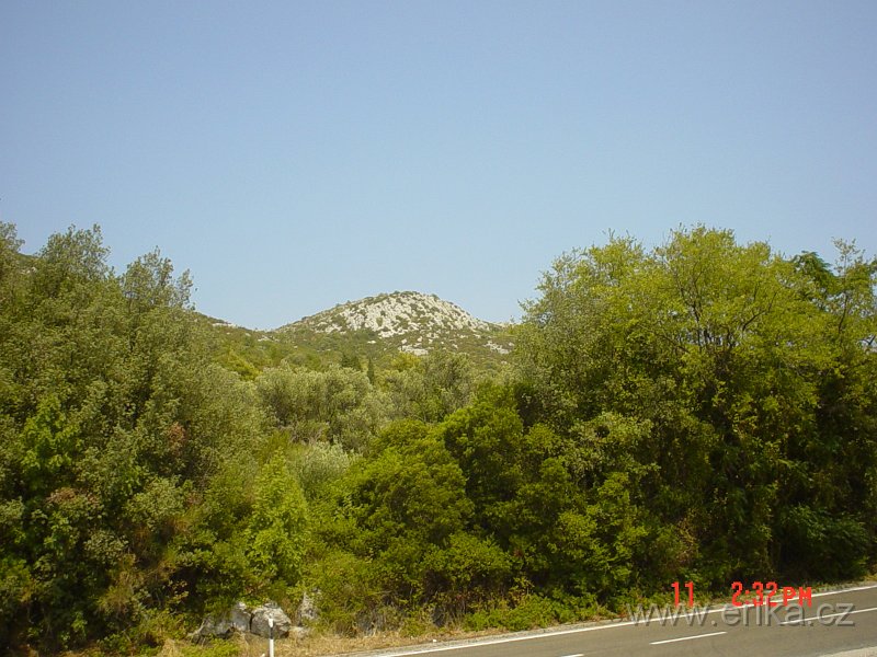 DSC02972.JPG