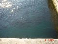 2003.08.06_Bulgaria