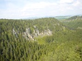 DSC04521