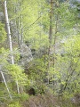 DSC04542