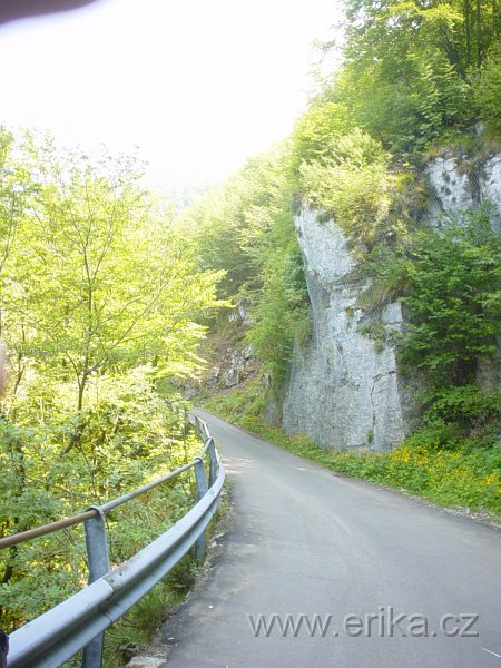 DSC04651.JPG