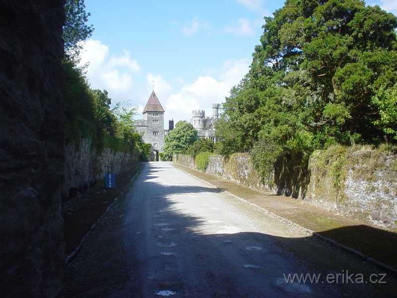DSC05025.JPG