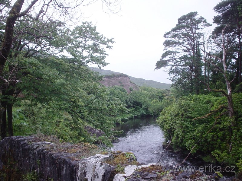 DSC05095.JPG