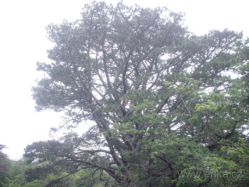 DSC05097.JPG