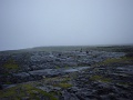 DSC05074