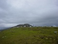 DSC05169
