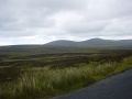 DSC05263