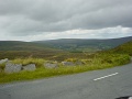 DSC05265
