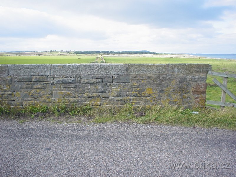 DSC05650.JPG