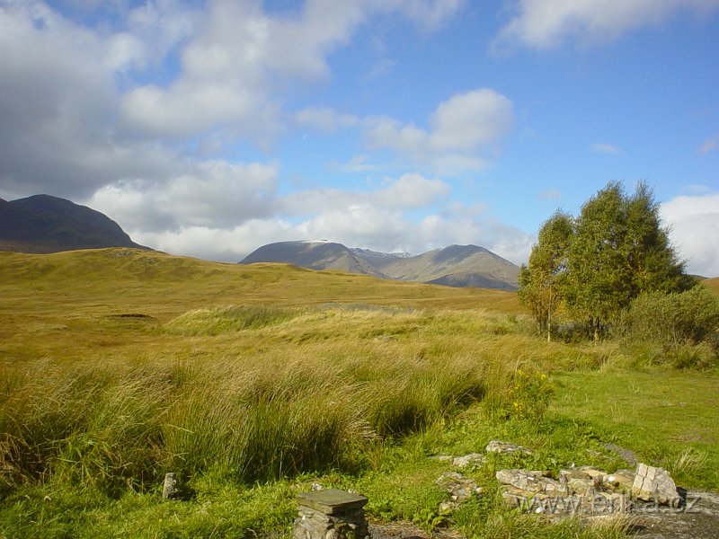DSC05700.JPG