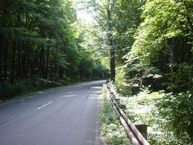 DSC06510.JPG