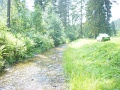 DSC06490