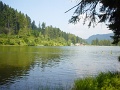 DSC06491