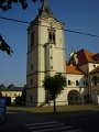 DSC06495