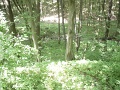 DSC06509