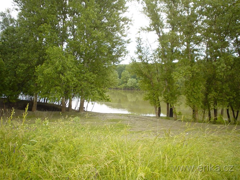 DSC07411.JPG