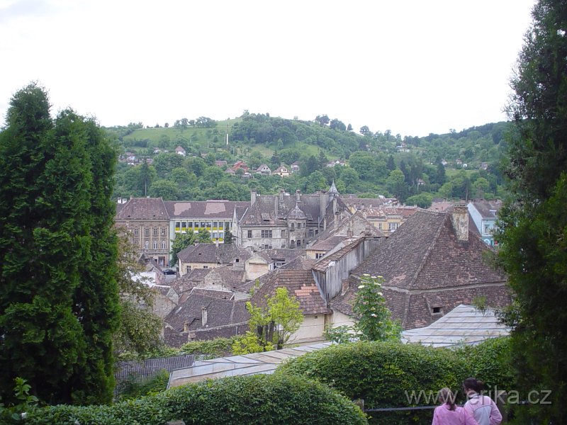DSC07934.JPG