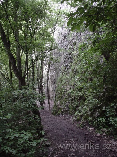 DSC08073.JPG
