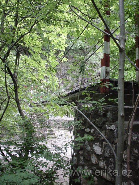 DSC08080.JPG