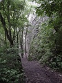 DSC08073