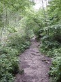 DSC08079
