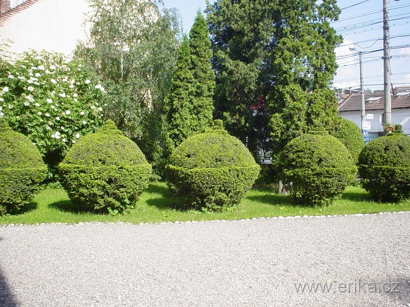 DSC08185.JPG