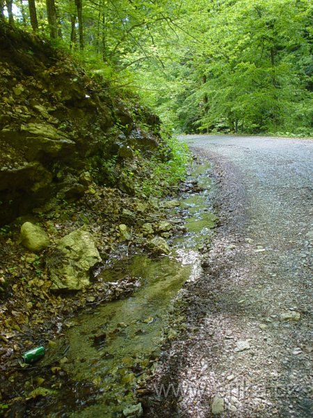 DSC08228.JPG
