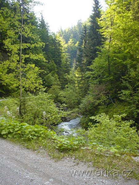 DSC08231.JPG