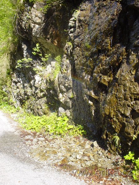 DSC08233.JPG