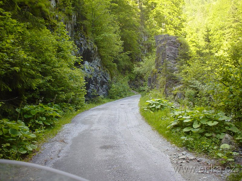 DSC08236.JPG
