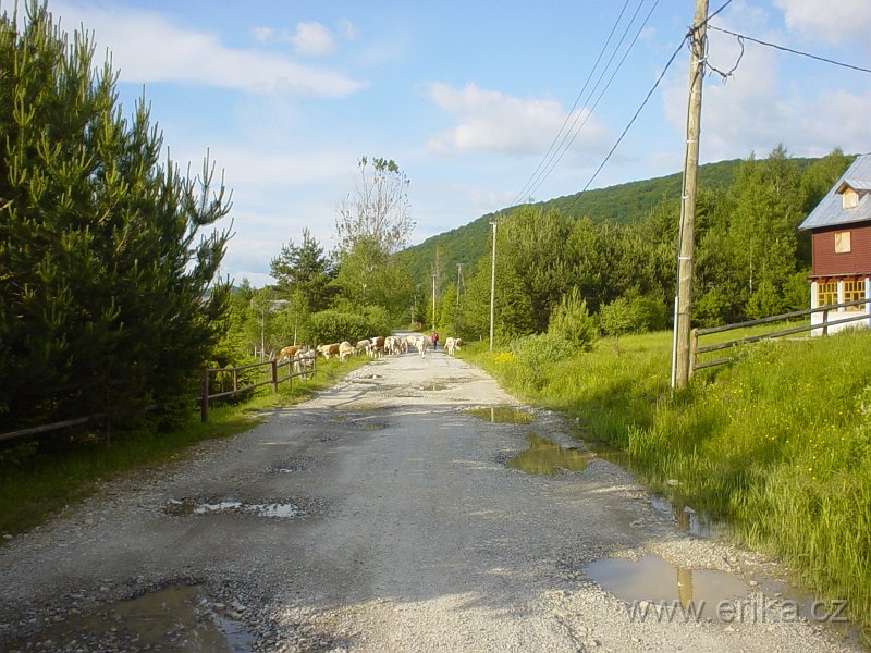 DSC08250.JPG