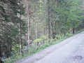 DSC08223
