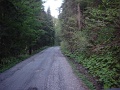 DSC08224