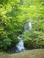 DSC08225