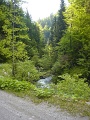 DSC08231