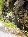 DSC08233