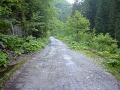 DSC08235