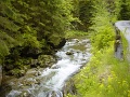 DSC08237
