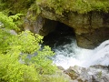 DSC08239