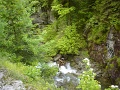 DSC08245