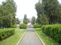 DSC08442