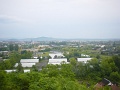 DSC08785