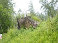 DSC00301