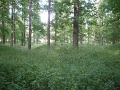DSC00688