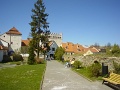 DSC01011