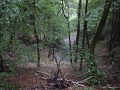 DSC01074