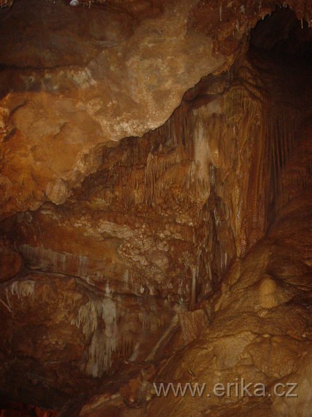 DSC01337.JPG