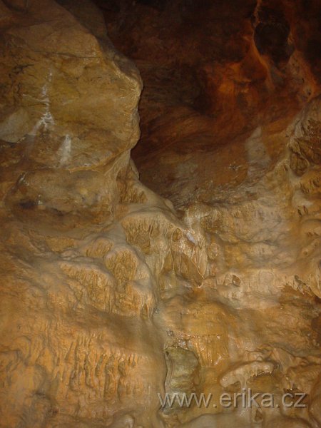 DSC01344.JPG